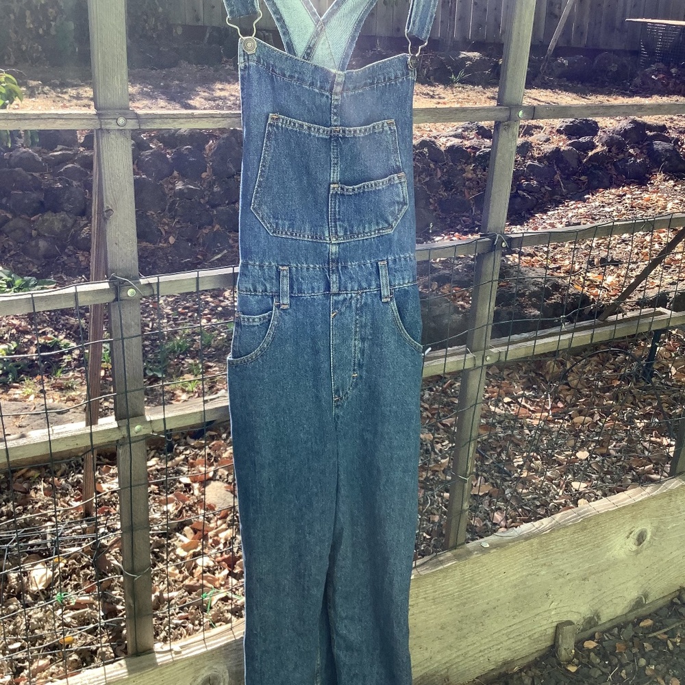 Free people Ziggy overalls